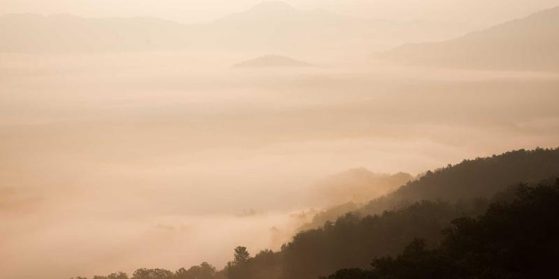 从意图到现实：基于意图的网络(IBN)如何重塑自动化运维新范式