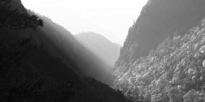 告别手动配置！自组织网络(SON)如何成为5G与未来网络的智能大脑