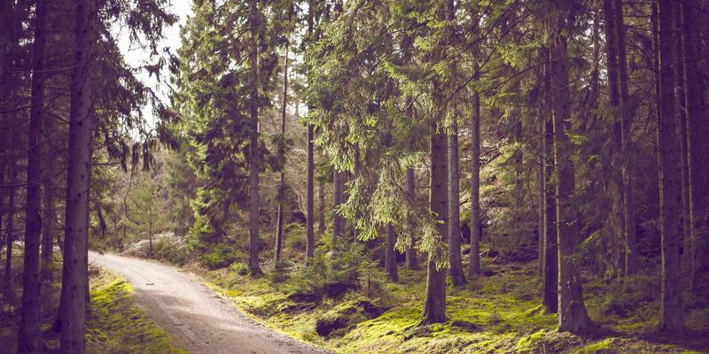 开放网络操作系统(ONOS/Stratum):如何用软件工具与开源资源,重塑网络硬件生态