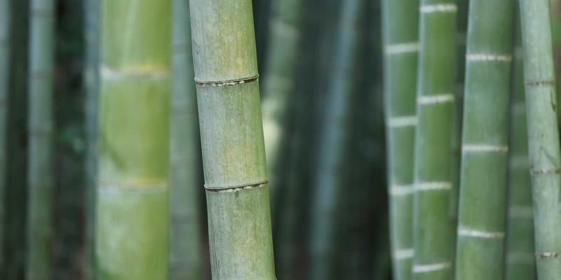 网络即代码(NaC):用编程思维重塑网络基础设施,开启自动化新纪元