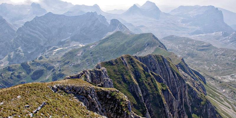 网络感知应用开发实战:如何让应用层智能适配网络状态,打造极致用户体验