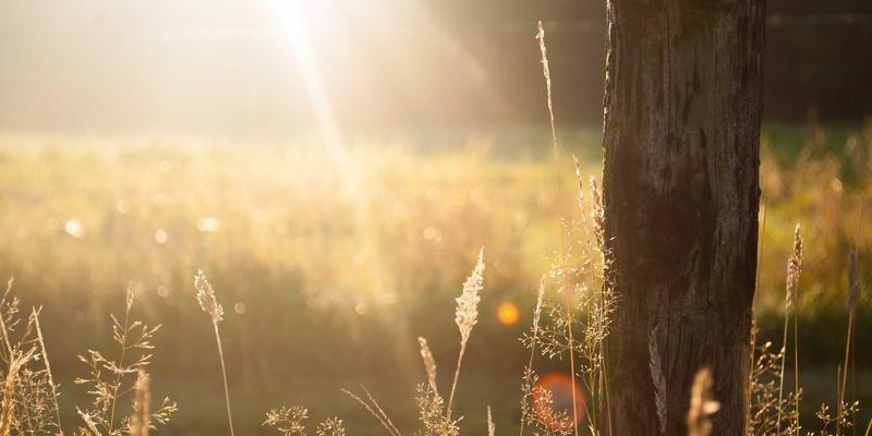 超融合网络架构（HCI Networking）：用软件定义思维，重塑数据中心网络统一管理